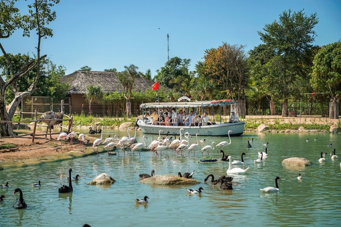 Khám phá thiên nhiên kỳ thú tại River Safari. Ảnh: VinWonders. 1-71.jpg