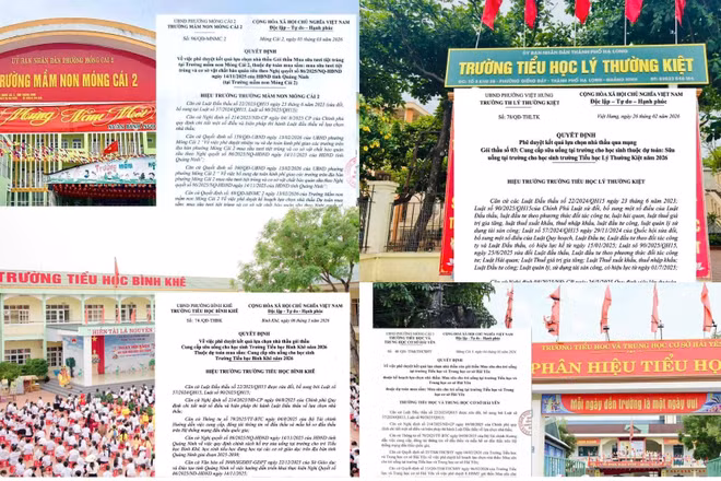 Trường phê duyệt Công ty Cổ phần Sữa VN trúng thầu cung cấp sữa uống, thực hiện công khai ra sao?