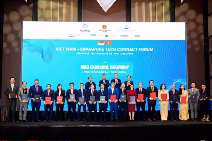touch-anh-3.jpg