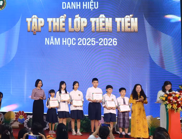 tap-the-lop.jpg