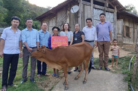 Buộc giáo viên ủng hộ tiền giúp dân xóa nghèo có phải cách làm hay?