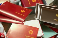 Văn bằng, chứng chỉ giả, bằng thật chất lượng giả và nguy cơ thiếu lò đốt củi