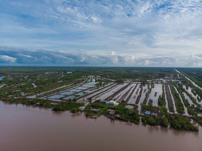 Hợp tác xã Tài Thịnh Phát Farm với mô hình phát triển kinh tế bền vững gắn với bảo vệ hệ sinh thái rừng ngập mặn Cà Mau. Ảnh: NVCC