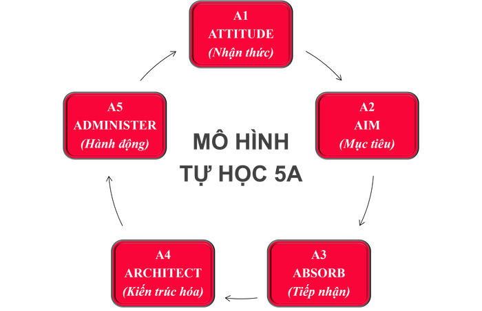 mo-hinh-5a-fn.png