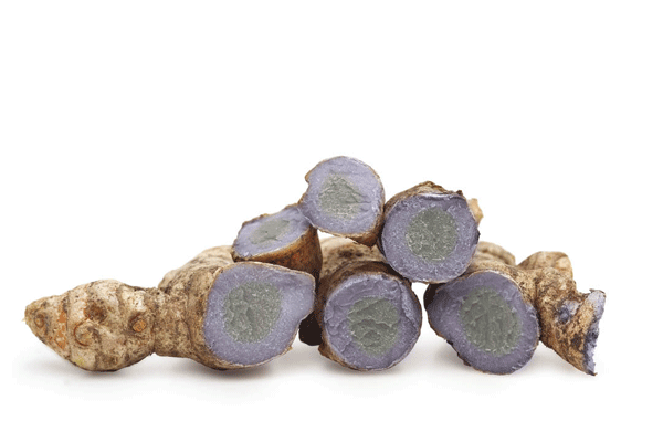 Nghệ đen tăng cường sự bài tiết mật, kích thích tiêu hóa, tăng trương lực ống tiêu hóa, kháng khuẩn. Nghệ đen tăng cường sự bài tiết mật, kích thích tiêu hóa, tăng trương lực ống tiêu hóa, kháng khuẩn.