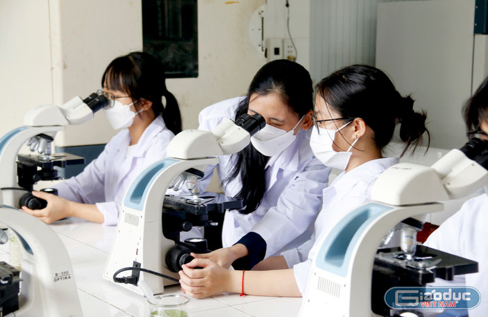 Có môi trường làm việc minh bạch là nơi mà các nhà khoa học luôn luôn mong muốn. Ảnh: Mộc Trà.