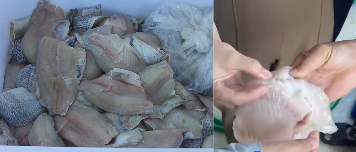 Cá là một trong những nguyên liệu thực phẩm do Công ty Cổ phần Đầu tư và Thương mại Đào Lượng cung cấp tại Trường Tiểu học Chu Minh (xã Quảng Oai, Hà Nội), bị nghi không đảm bảo chất lượng. Ảnh chụp màn hình. thiet-ke-chua-co-ten.png