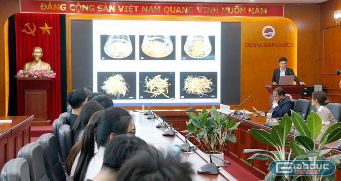 Tiểu ban B. Tiểu ban B.