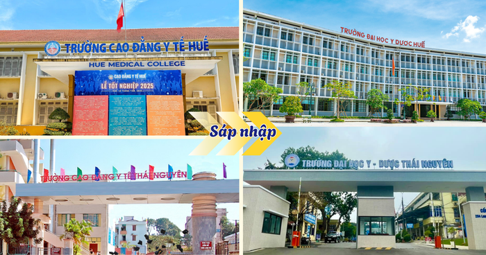 Ảnh minh họa. sap-nhap-2.png