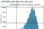 87 thí sinh bị điểm liệt môn Ngữ văn: Là giáo viên, tôi không khỏi trăn trở