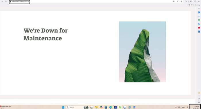 Website "palmriveracademy.edu.vn" báo bảo trì khi truy cập vào ngày 28/10. Ảnh chụp màn hình screenshot-2025-10-28-160054.png