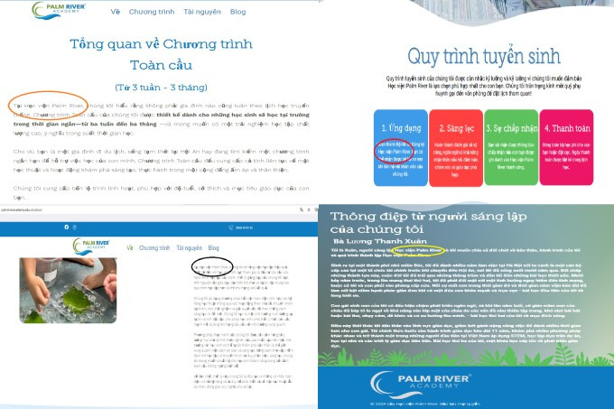 Cụm từ "Học viện Palm River" được sử dụng thường xuyên trên website. Ảnh chụp màn hình unnamed-2-1.jpg