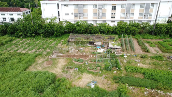 Phần đất giáp Trường Tiểu học Phương Canh người dân gần đó tận dụng để trồng rau. Ảnh: Trung Dũng 1-21.jpg