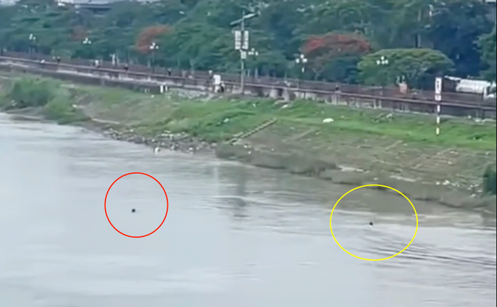 Nạn nhân (khoanh đỏ), cô giáo khoanh vàng. Ảnh cắt từ clip người dân quay. anh-chup-co-giao-cu-nguoi.png