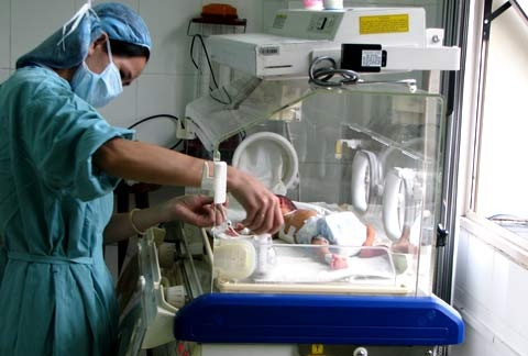 Ảnh minh họa. Ảnh minh họa.