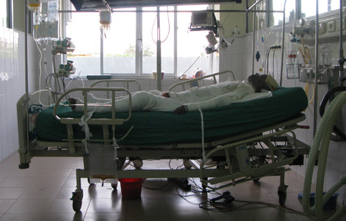 Ảnh minh họa. Ảnh minh họa.