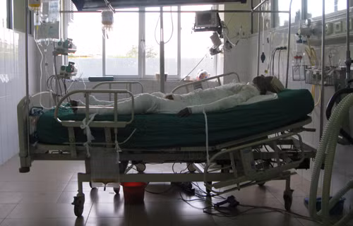 Ảnh minh họa. Ảnh minh họa.