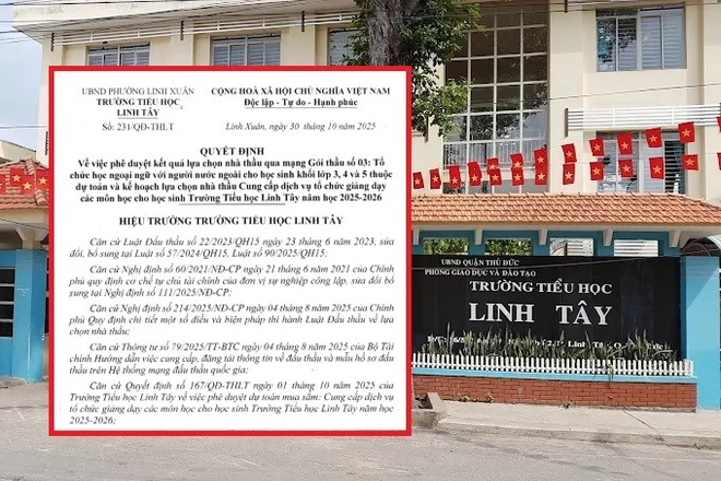 Anh ngữ Lets Learn và những gói thầu dạy ngoại ngữ với người nước ngoài ở trường công tại TP.HCM