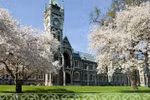 Cơ hội du học New Zealand với chi phí rẻ