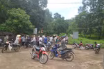 Hàng trăm người bỏ gặt lúa tiếp tục canh hiện trường ở công ty Nicotex