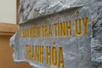 Có căn cứ để kiểm tra các dấu hiệu vi phạm đối với ông Đào Trọng Quy