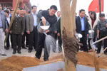 Chủ tịch nước Trương Tấn Sang phát động Tết trồng cây Xuân Giáp Ngọ
