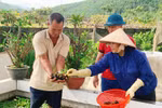 Hạ Long phấn đấu đưa 5 xã hoàn thành chương trình nông thôn mới nâng cao