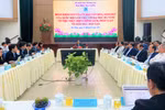 Chưa được tăng học phí, nhiều trường ĐH vừa được giao quyền tự chủ gặp khó