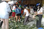Siêu bão Haiyan đẩy giá thực phẩm ở Hà Nội tăng gấp đôi
