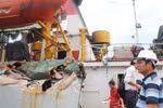 Nhiều tàu Trung Quốc đâm tan nát tàu KN 951 Việt Nam