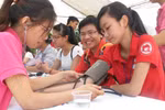 Hà Nội: Chào đón Lễ hội Xuân hồng năm 2014