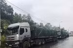 Cảnh sát giao thông mắng tài xế "mày ngu lắm!", doạ phạt 180 triệu đồng