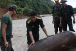 Mưa lớn, lộ bom mìn ở Huế