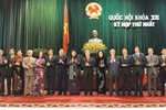 "Nên thẩm tra tư cách đại biểu QH bị dư luận đặt vấn đề"