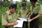 Điểm chuẩn ngành Quản lý tài nguyên rừng 3 năm gần đây chỉ dao động 15-19 điểm