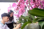 Chuyên ngành Nông nghiệp công nghệ cao tại Trường ĐH Đông Á có gì khác biệt?