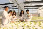 Rất ít HS chọn học Khoa học cây trồng dù đầu vào chỉ 15-16 điểm, học phí thấp