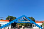 Hiệu trưởng Đại học Hải Phòng ký cấp hàng nghìn chứng chỉ trái thẩm quyền?