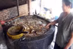 “Vũ khí” mới giúp phát hiện dầu ăn bẩn tái chế