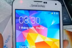 Nhan nhản Samsung Galaxy S5 nhái "như thật" 