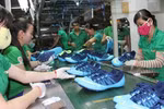Doanh nghiệp nào đang phụ thuộc nhiều vào Trung Quốc?