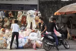 Mang vô số bệnh từ thú nhồi bông vỉa hè