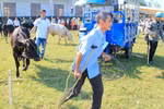 Được tặng bò giống của Hoàng Anh Gia Lai "mừng đến mất ngủ"