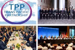 Những mặt hàng nào hưởng thuế suất 0% ngay khi TPP có hiệu lực?