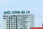 31 hộ dân ra “tối hậu thư” cho Công ty Cường “đô la” 