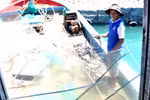 Ngư dân trên 2 tàu bị TQ tấn công vẫn quyết tâm bám biển Hoàng Sa
