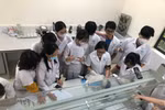 Trường ĐH Hòa Bình: Chương trình đào tạo ngành Dược học gắn liền với thực tế 