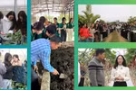 Không ít người cho rằng học Kinh tế phát triển để làm việc trong khu vực công