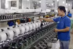 Vì sao doanh nghiệp phải bồi dưỡng, lót tay như ở Hải quan Hải Phòng?
