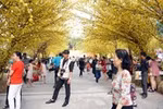 Phố ông đồ Sài Thành nhộn nhịp ngày Tết